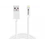 Sandberg USBLightning MFI 1m SAVER, 1 m, Lightning, USB A, Męski, Męski, Biały