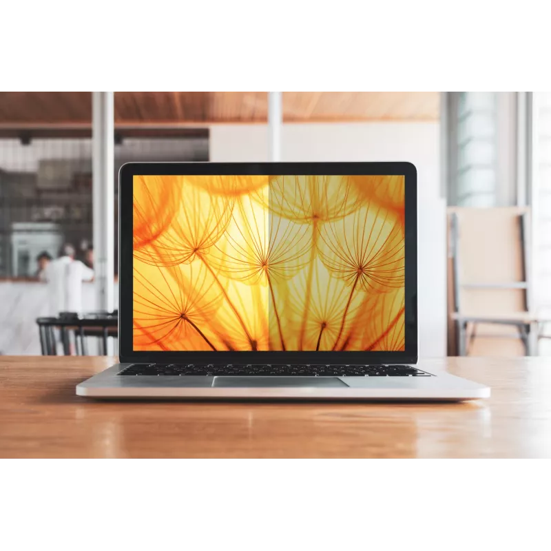 Filtr prywatności 3M Bright Screen do Microsoft® Surface® Pro 4, 5, 6, 7 12,3 inch, 3:2, BPTMS001