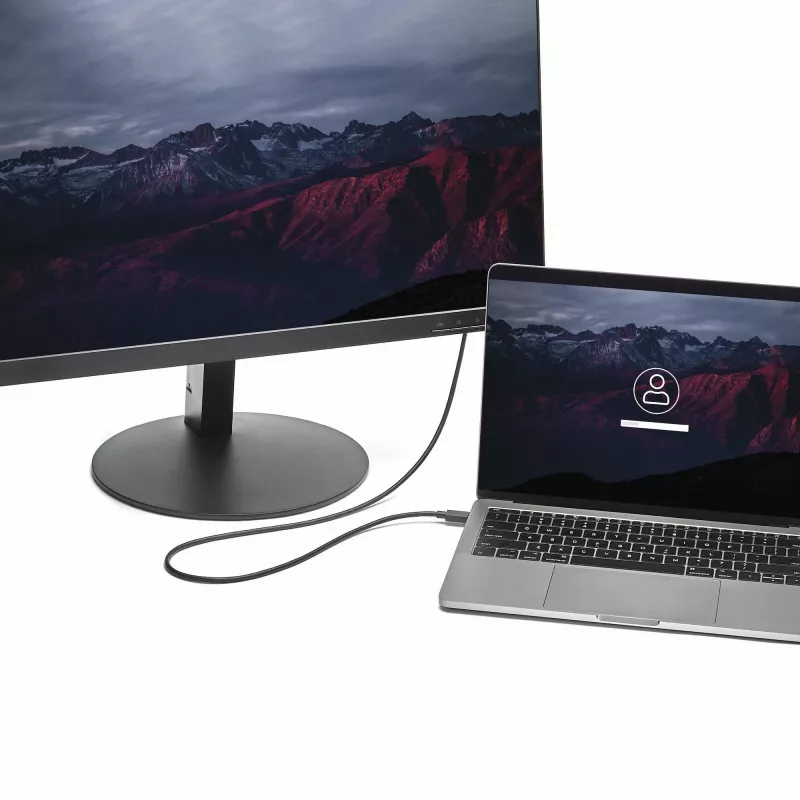 StarTech.com 3ft/1m USB C do DisplayPort 1.2 Kabel 4K 60Hz - USB-C do DisplayPort Adapter Kabel - HBR2 - USB Type-C DP Alt Mode do DP Monitor Wideo Kabel - Współpracuje z Thunderbolt 3 - Czarny
