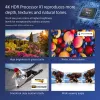 Sony FW-55BZ40L Wyświetlacz sygnalizacyjny Cyfrowy panel płaski 139,7 cm (55 cali) LCD Wi-Fi 700 cd/m² 4K Ultra HD Czarny Android 24/7