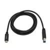 Kabel StarTech.com USB-C na USB-B - M/M - 2 m (6 stóp) - USB 3.0