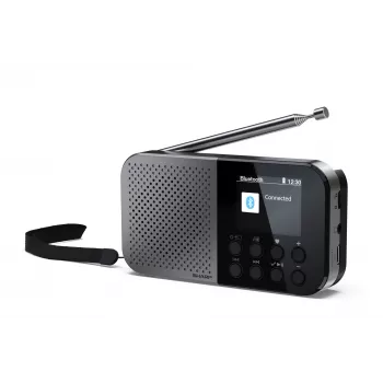 Osobiste radio Sharp DR-P520 cyfrowy tuner DAB DAB+ FM