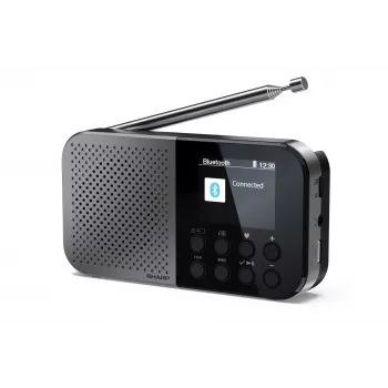 Osobiste radio Sharp DR-P520 cyfrowy tuner DAB DAB+ FM