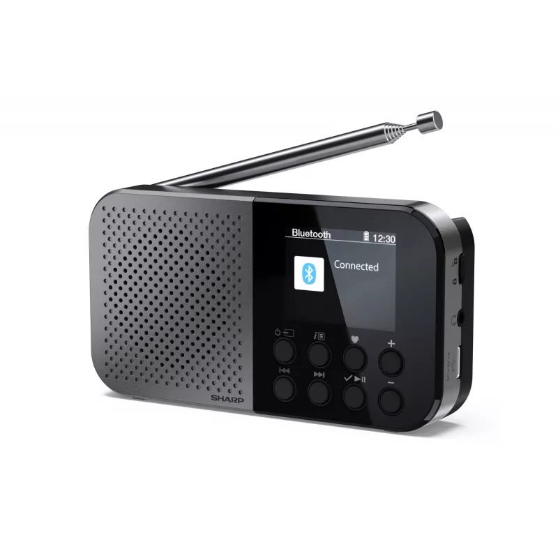 Osobiste radio Sharp DR-P520 cyfrowy tuner DAB DAB+ FM