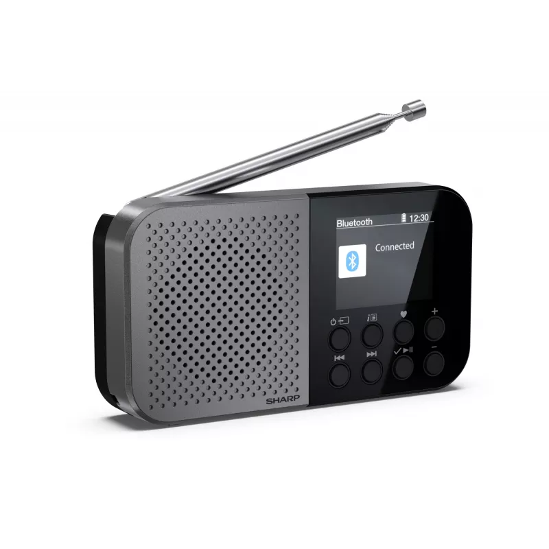 Osobiste radio Sharp DR-P520 cyfrowy tuner DAB DAB+ FM