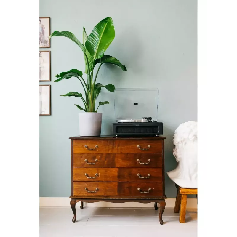 Gramofon audio z napędem paskowym Lenco LS-430BK Czarny 40W Bluetooth