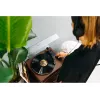 Gramofon audio z napędem paskowym Lenco LS-430BN Brązowy Ręczny Siła nacisku 3-4g