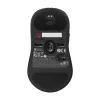 Mysz ZOWIE U2 Gaming Symetryczna RF Wireless Optyczna 3200 DPI