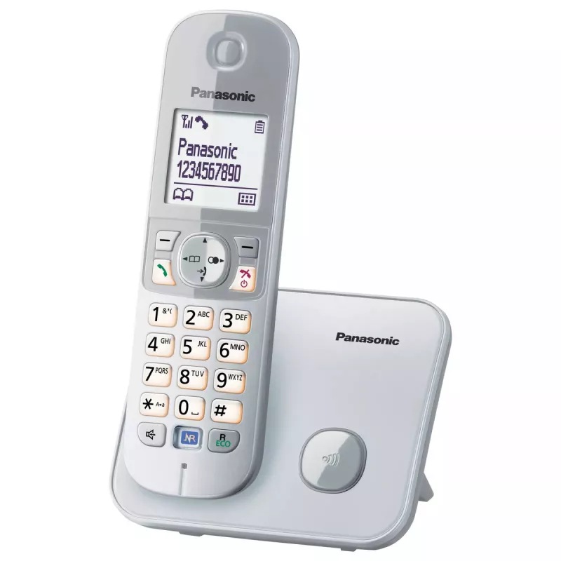 Telefon DECT Panasonic KX-TG6811GS