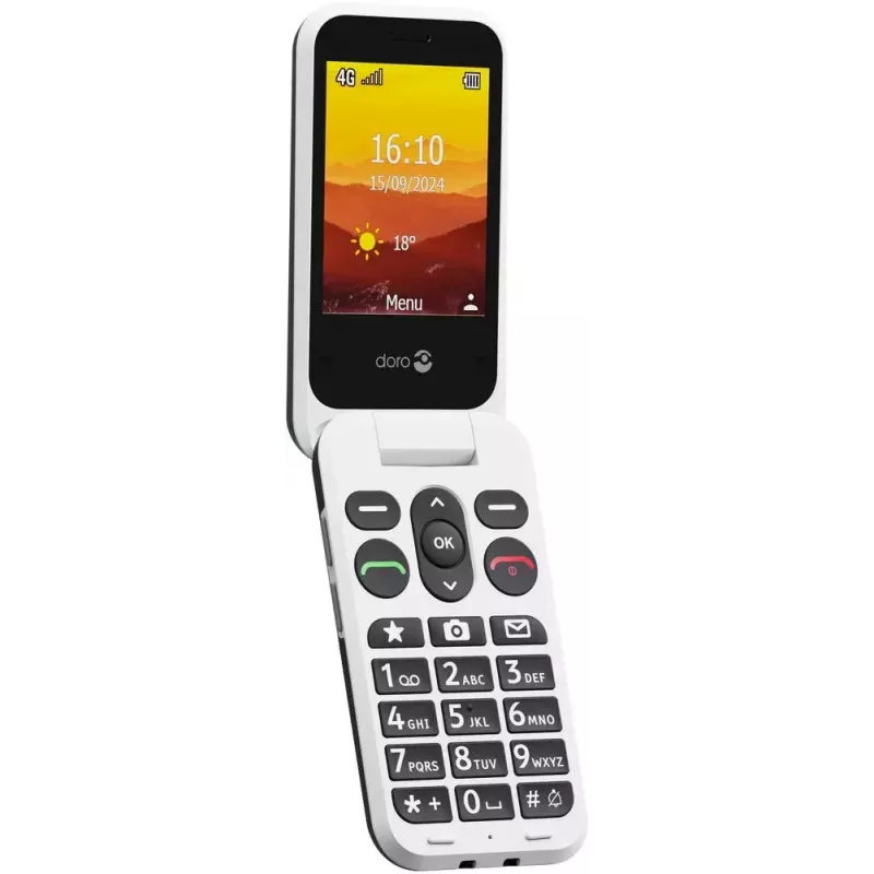 Telefon komórkowy Doro Leva L30 5,0 cala grafitowo-biały