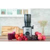 Unold 78275 Wyciskarka wolnoobrotowa Sam 300 W Grafit