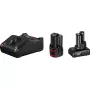 Bosch 1 x GBA 12V 2,0 Ah + 1 x GBA 12V 4,0 Ah + GAL 12V-40 Professional ładowarka do akumulatorów gospodarstwa domowego AC