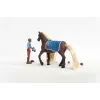 schleich HORSE CLUB Sofia's Beauties Zestaw Startowy Leo i Rocky Wielokolorowy