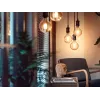 Inteligentna żarówka Philips 1 szt. G93 E27 Filament