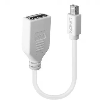 Lindy 0,20 m kabel przejściówkowy Mini DisplayPort na DisplayPort, 0,15 m, Mini DisplayPort, DisplayPort, Męski, Żeński, Biały