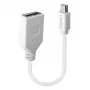 Lindy 0,20 m kabel przejściówkowy Mini DisplayPort na DisplayPort, 0,15 m, Mini DisplayPort, DisplayPort, Męski, Żeński, Biały