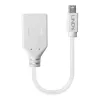 Lindy 0,20 m kabel przejściówkowy Mini DisplayPort na DisplayPort, 0,15 m, Mini DisplayPort, DisplayPort, Męski, Żeński, Biały