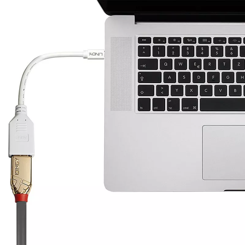 Lindy 0,20 m kabel przejściówkowy Mini DisplayPort na DisplayPort, 0,15 m, Mini DisplayPort, DisplayPort, Męski, Żeński, Biały