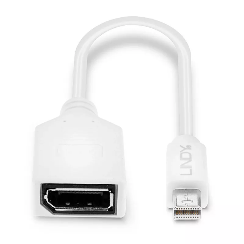 Lindy 0,20 m kabel przejściówkowy Mini DisplayPort na DisplayPort, 0,15 m, Mini DisplayPort, DisplayPort, Męski, Żeński, Biały