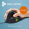 R-Go Tools Mysz ergonomiczna R-Go HE Break z oprogramowaniem do przerw, średnia (rozmiar dłoni 165-185 mm), praworęczna, przewodowa, czarna