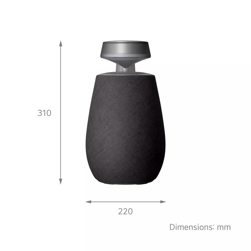 LG XBOOM 360 Mono przenośny głośnik Czarny 20 W