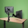 R-Go Tools Ramię do monitora R-Go Caparo Dual, do dwóch monitorów, regulowane za pomocą sprężyny gazowej, udźwig 3-9 kg, w 100% okrągłe, czarne