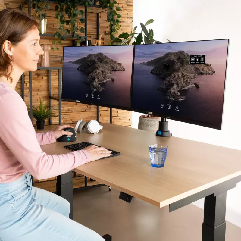 R-Go Tools Ramię do monitora R-Go Caparo Dual, do dwóch monitorów, regulowane za pomocą sprężyny gazowej, udźwig 3-9 kg, w 100% okrągłe, czarne