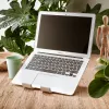 Podstawka pod laptop i tablet R-Go Tools R-Go Treepod, ergonomiczna i modułowa, regulowana, biopochodna