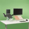 Uchwyt na dokumenty R-Go Morelia, moduł do ramienia monitora Caparo i Zepher