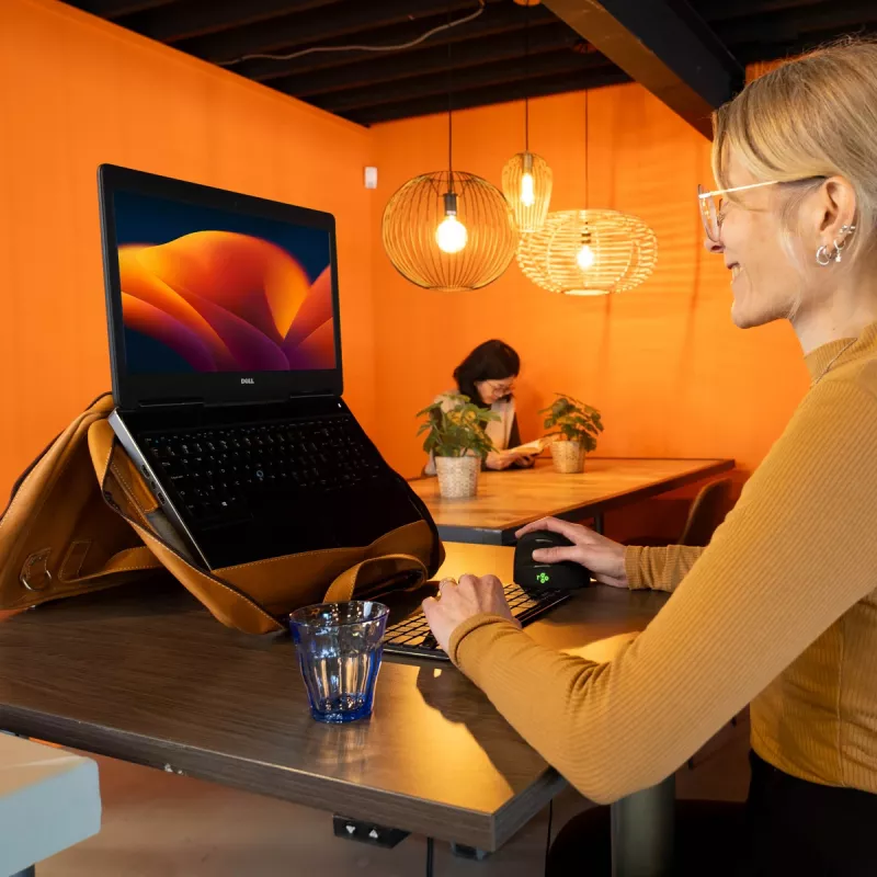 Torba na laptop R-Go Tools R-Go Viva, skóra licowa, z wbudowaną podstawką pod laptop, paskiem na ramię, 15,6 cala, brązowa