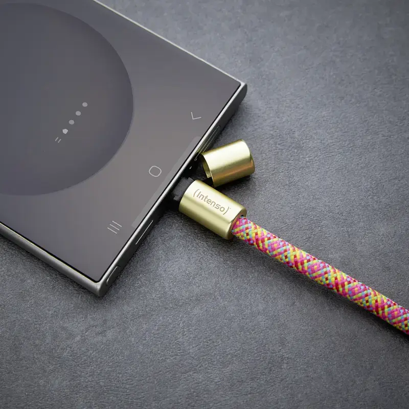 Intenso Smycz-ładowarka USB-C na szyję do telefonu Kabel 60W Szybkie ładowanie Regulowana długość 1,65m Nylon Wielokolorowy