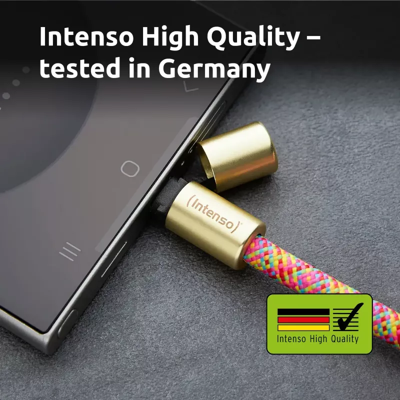 Intenso Smycz-ładowarka USB-C na szyję do telefonu Kabel 60W Szybkie ładowanie Regulowana długość 1,65m Nylon Wielokolorowy