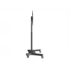 Multibrackets M Public Floorstand Basic 180 z półką i uchwytem na kamerę