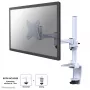 Neomounts FPMA-D1330WHITE Ramię monitora 10-30 cali