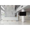 Neomounts uchwyt na słup TV WL30S-910BL16 50 kg 40-75 cali