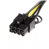 StarTech.com PCI Express 6 pin to 8 pin zasilacz kabel, PCI-E (8-pin), PCI-E (6-pin), 0.155 m, Male, Female, Straight