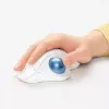 Mysz Logitech ERGO M575 Bezprzewodowy Trackball RF Wireless + Bluetooth
