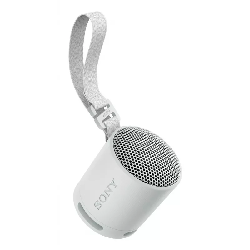 Sony SRS-XB100 - Bezprzewodowy przenośny głośnik Bluetooth, wytrzymały IP67 wodoodporny i pyłoszczelny, 16 godzin pracy na baterii, ekologiczny, na zewnątrz i w podróży, w kolorze jasnoszarym