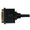 StarTech.com 8-calowy adapter kablowy wideo HDMI na DVI-D - HDMI męski na DVI-D żeński