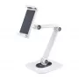 StarTech.com Regulowany stojak na tablet do biurka - Możliwość montażu na ścianie - Udźwig 1 kg - Ergonomiczny uniwersalny stojak na tablet z przegubami - Uchwyt na tablet do biurka z obrotem/przechyłem/rotacją