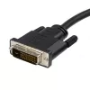 StarTech.com 10ft (3m) DisplayPort to DVI kabel - DisplayPort to DVI adapter kablowya 1080p Video - DisplayPort to DVI-D kabel Single Link - DP to DVI Monitor kabel - DP 1.2 to DVI Converter
