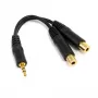StarTech.com 15 cm kabel rozdzielacz stereo - 3,5 mm męski na 2x 3,5 mm żeński