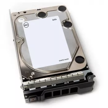 DELL 400-AEFB wewnętrzny dysk twardy 1 TB 7200 RPM 3,5 cala Serial ATA III