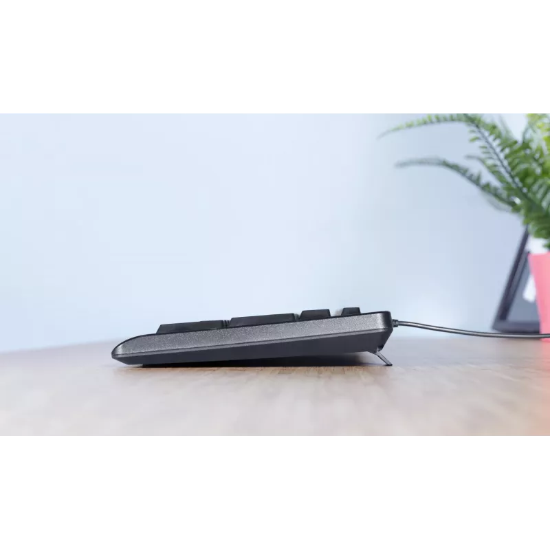 Trust TK-150 klawiatura Office USB QWERTZ Niemiecki Czarny