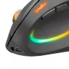 Mysz SPEEDLINK SL-630026-BK RF bezprzewodowa optyczna