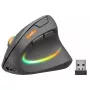 Mysz SPEEDLINK SL-630026-BK RF bezprzewodowa optyczna