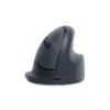 Mysz pionowa R-Go Tools R-Go HE Basic, mysz ergonomiczna, średnia (rozmiar dłoni ≥ 185 mm), praworęczna, Bluetooth, szara