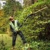 Nożyce do żywopłotu na wysięgniku DeWALT DCMPH566N-XJ