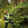 Nożyce do żywopłotu na wysięgniku DeWALT DCMPH566N-XJ