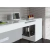 Techly ICA-CS 62 uchwyt CPU montowany pod biurkiem Czarny